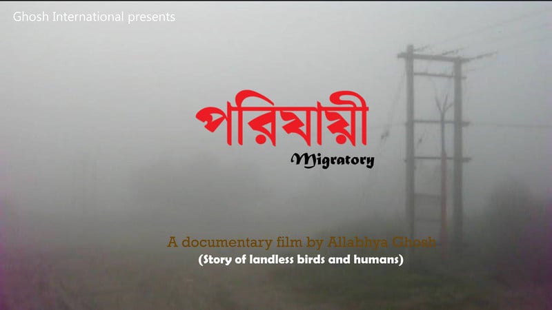 Poster for Migratory